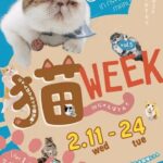 猫WEEK in にゃんばマルイ vol.5｜2月11日（水）～2月24日（火）なんばマルイで猫雑貨＆猫イベント開催